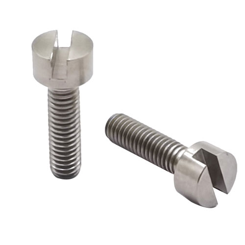 Sekrup Titanium Slotted DIN84